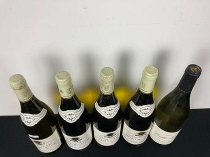 VALLÉE-DE-LA-LOIRE
Lot de cinq bouteilles...