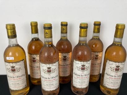 BORDEAUX (SAINTE-CROIX-DU-MONT)
Château d'Escaley...