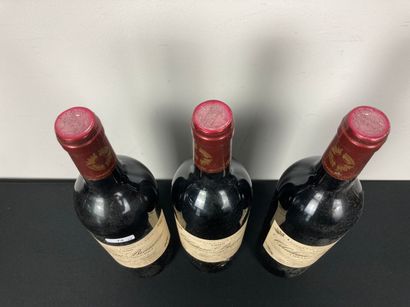 BORDEAUX (SAINT-JULIEN)
Château Branaire...
