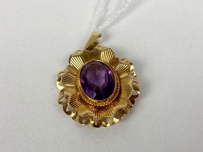 Pendentif ovale en or jaune (750 millièmes)...