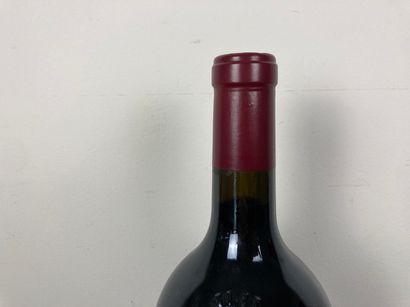 ESPAGNE (RIBERA DEL DUERO)
Alion / Bodegas...