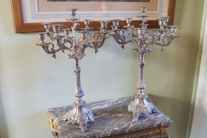 Paire de candélabres à neuf branches en métal...