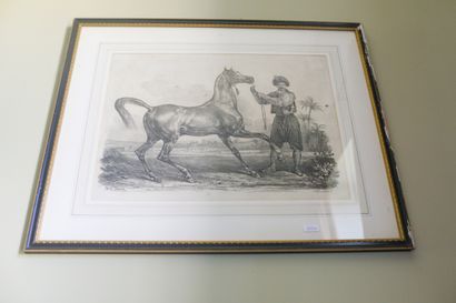 VERNET, paire d'estampes équestres 