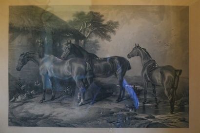 Estampe équestre 