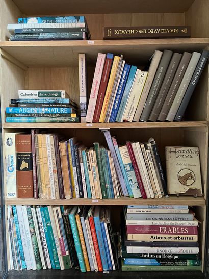 Lot de livres en tout genre sur les chevaux...