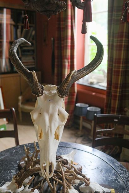 Trophée