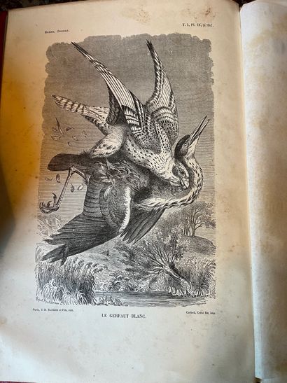 DUBOIS Ch. F., XIXème, deux livres 
