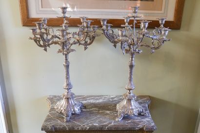 Paire de candélabres à neuf branches en métal...