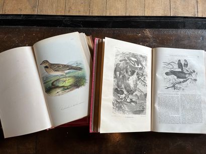 DUBOIS Ch. F., XIXème, deux livres 