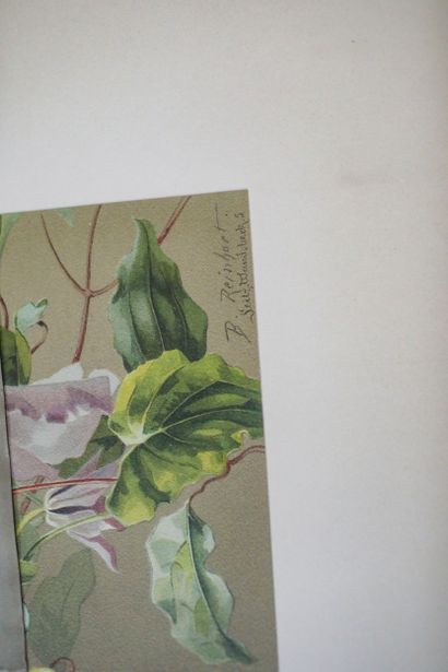 Farde (63x46,5 cm) comprenant une dizaine...