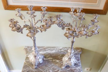 Paire de candélabres à neuf branches en métal...