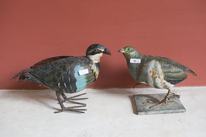 Deux perdrix en tôle peinte, 20x25 cm et...