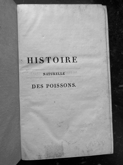 Ensemble de cinq tomes : 