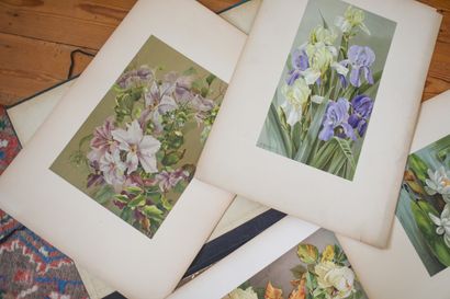 Farde (63x46,5 cm) comprenant une dizaine...
