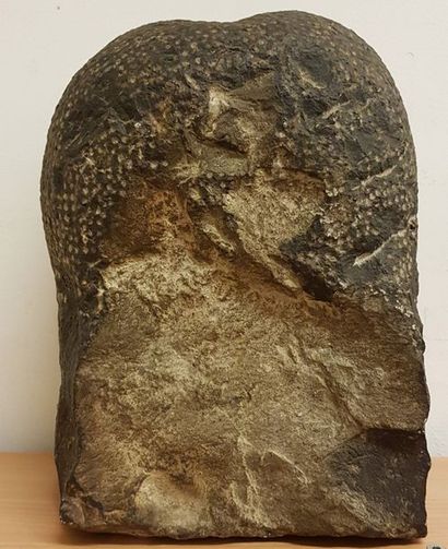 Tête en pierre noire sculptée figurant un...