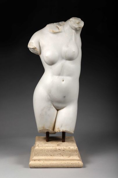 Torse de la Vénus de l’Esquilin

Marbre blanc...