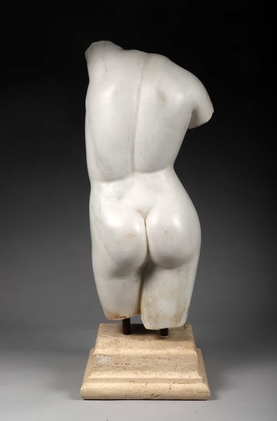 Torse de la Vénus de l’Esquilin

Marbre blanc...