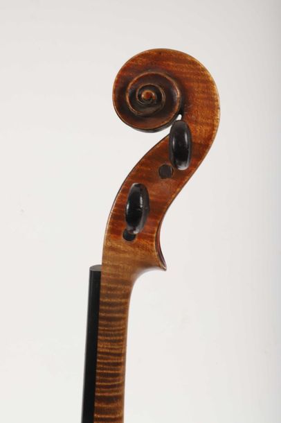 Violon portant étiquette: 