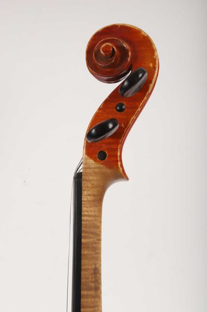 Violon portant étiquette: 