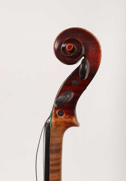 Violon portant étiquette: 