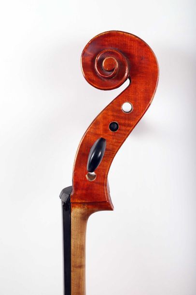 Violoncelle portant étiquette: 
