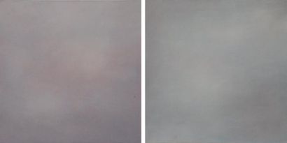 Denise LIOTE
Sans titre, 2008 et 2009 Deux...