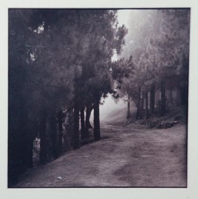 Ayako TAKAISHI
Sans titre Photographie argentique...
