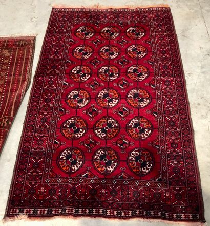 AFRIQUE DU NORD
2 tapis en laine, champs...