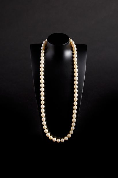 Collier de perles de culture chokker (bel...