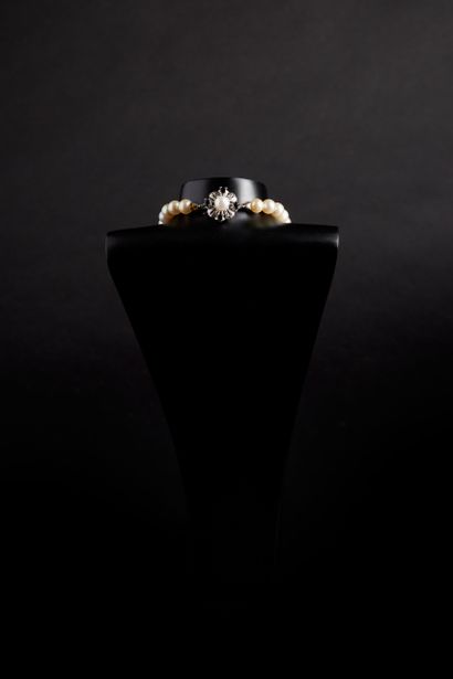 Collier de perles de culture chokker (bel...
