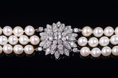 Collier de chien composé de trois rangs de...