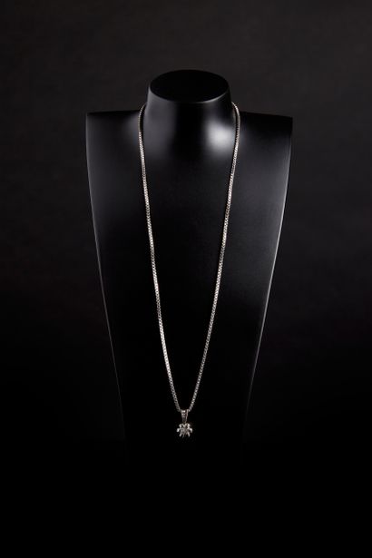 Ensemble en or gris : comprenant un pendentif...
