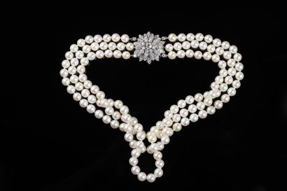 Collier de chien composé de trois rangs de...