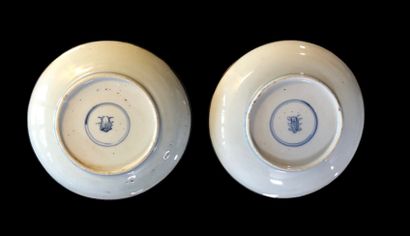 Paire d’assiettes en porcelaine bleu blanc...