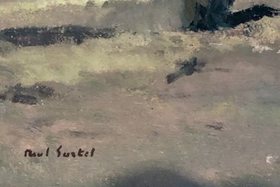Paul SURTEL
Paysage des Alpes de Haute Provence...