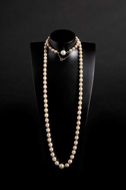 Collier de perles en chute majoritairement...