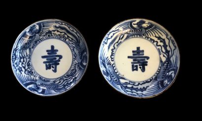 Paire d’assiettes en porcelaine bleu blanc...