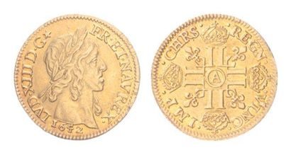 France
Louis XIII (1610-1643), Louis d'or...