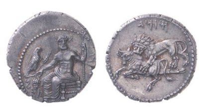 IDEM-. Un second exemplaire varié (10,83...