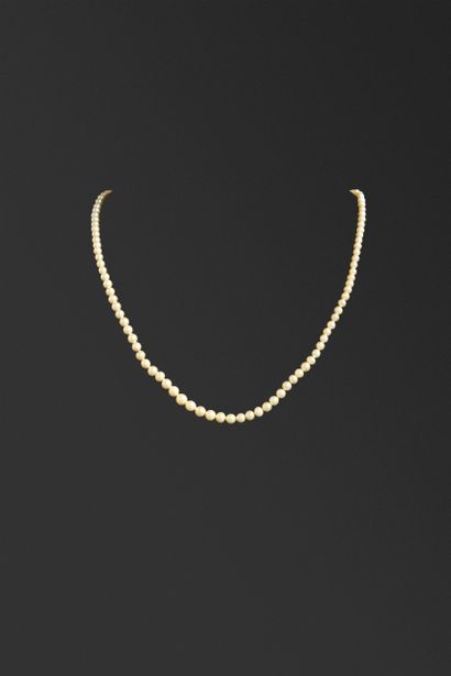 Collier de perles chocker, fermoir en or...