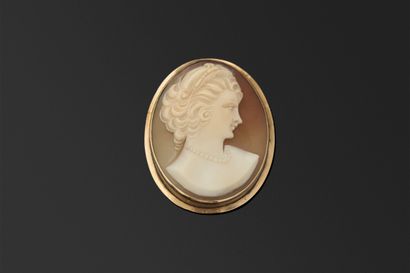Profil de femme façon camée à l'antique ovale,...