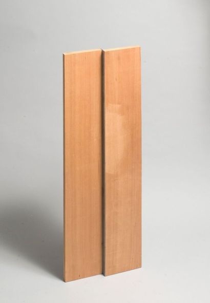 Géraldine PAOLI
Sans titre, 2000 Scultpure,bois...