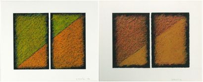 Didier BOUTIN
«Sans titre», 2 oeuvres /papier...