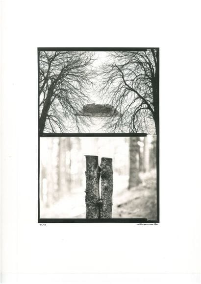 NAVARRO
«Diptycon», 1990, ex VI/X, photographie...
