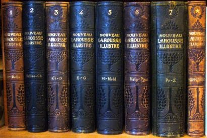 Larousse collection sous la direction de...