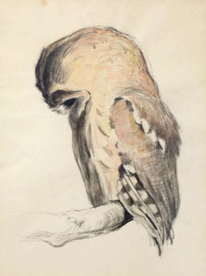 Attribué à Xavier de PORET (1894-1945)

Rapace...