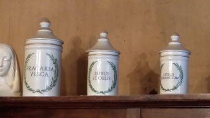 Ensemble de 6 pots à pharmacie en porcel...