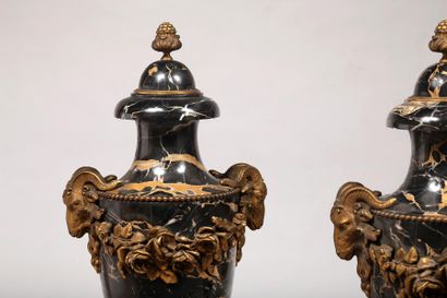 Paire de grands vases balustre de cheminée...