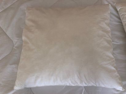 Oreillers Linvosges.
60 cm x 60 cm [total...