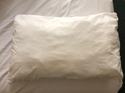 Oreillers Linvosges.
60 cm x 60 cm [total...